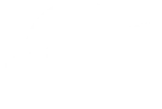 Hahn Half Court Half Pub logo